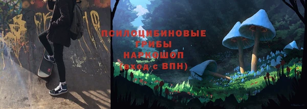 молекула духа Балабаново