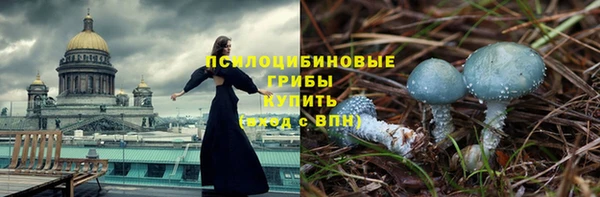 молекула духа Балабаново